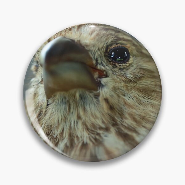 Item preview, Here's Looking At You designed and sold by StampCity.