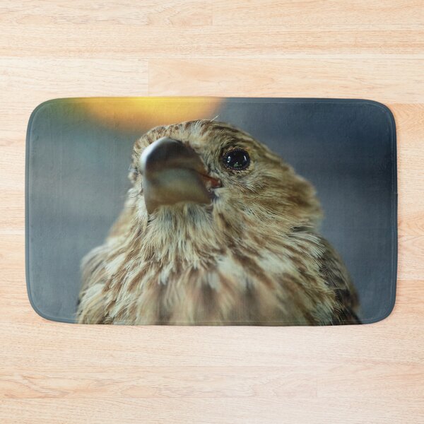 Item preview, Here's Looking At You designed and sold by StampCity.