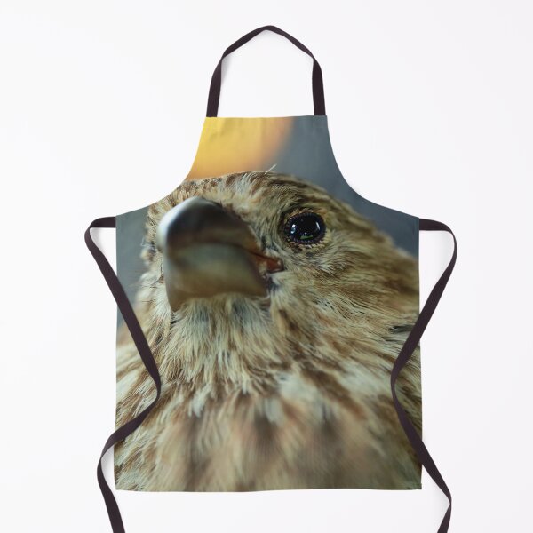 Item preview, Here's Looking At You designed and sold by StampCity.