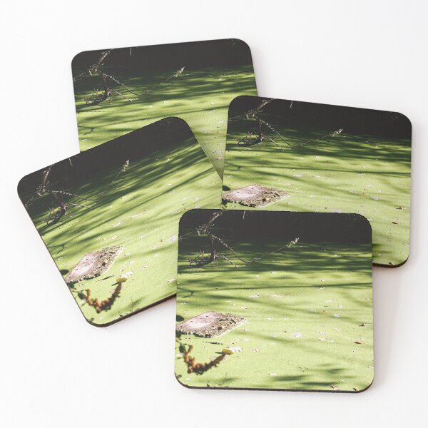 Item preview, Green Wood  designed and sold by Kelsey Thomas.