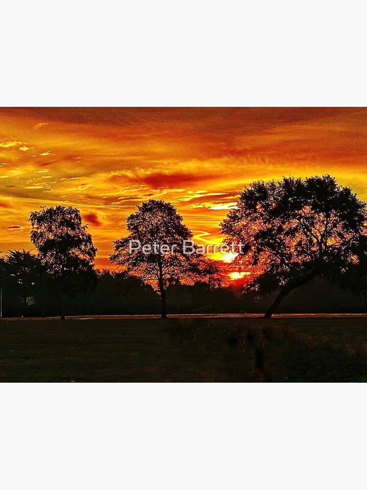 Golden sunrise by hartrockets