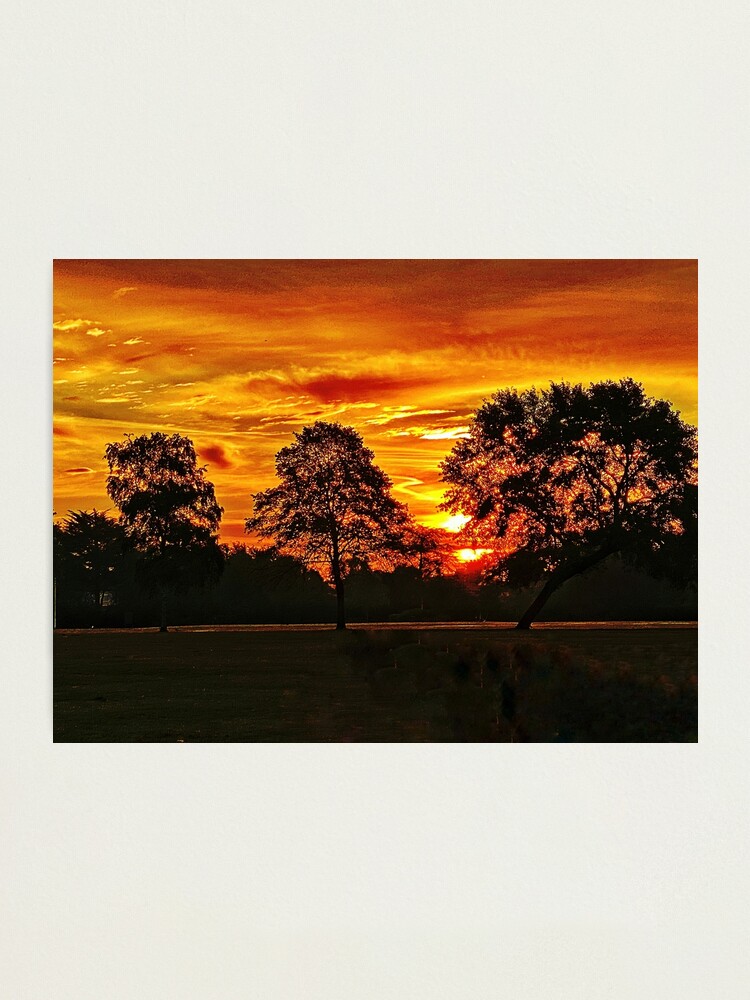 Alternate view of Golden sunrise Photographic Print