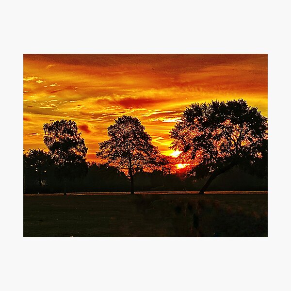 Golden sunrise Photographic Print