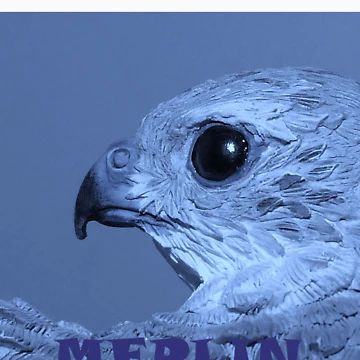 Vorschaubild zum Design Merlin von Merlin13