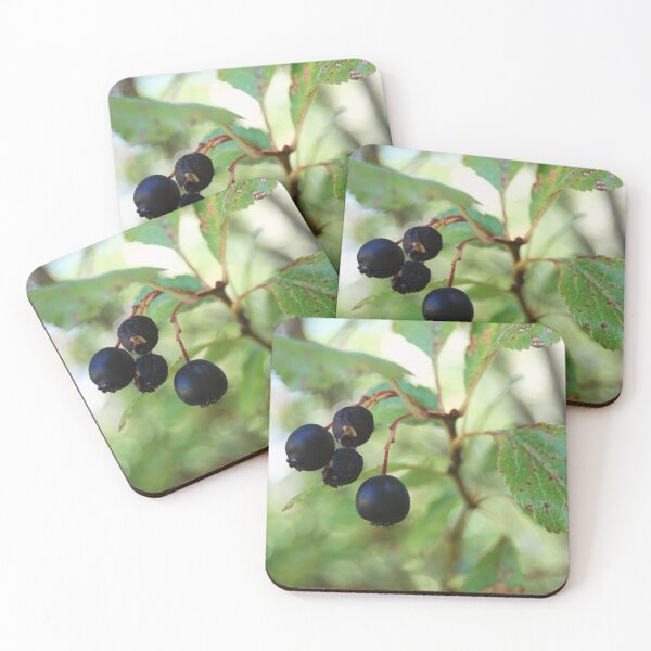 Item preview, Black Berry  designed and sold by Kelsey Thomas.