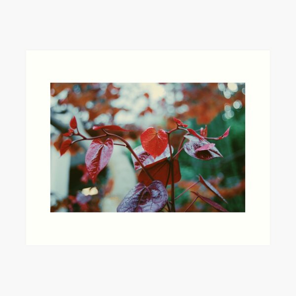 Vista previa del artículo con la obra «Hojas sueltas», diseñado y vendido por Kelsey Thomas.