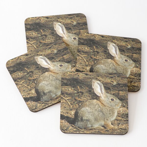 Item preview, Bunny Photo Adorable Little Brown Desert Rabbit designed and sold by natureinfocus.