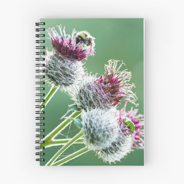 Item preview, Some buzz and opposite colors. Woolly burdock 2 designed and sold by Jouko Lehto Photography.