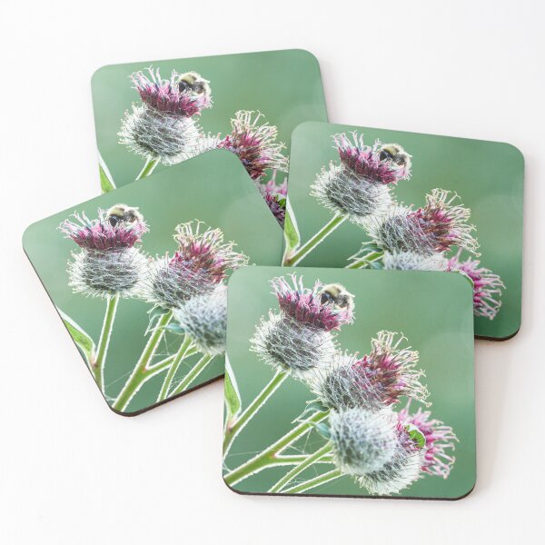 Item preview, Some buzz and opposite colors. Woolly burdock 2 designed and sold by Jouko Lehto Photography.