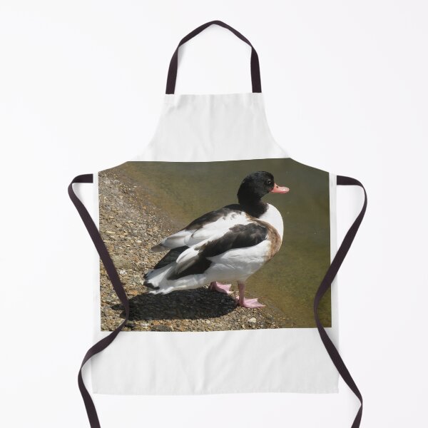 Item preview, Shelduck on the side of a lake Photograph designed and sold by naturegallery.