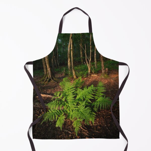Item preview, evening light, tollohill woods designed and sold by codaimages.