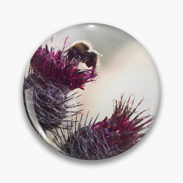 Item preview, Some buzz in backlight. Woolly burdock 3 designed and sold by Jouko Lehto Photography.