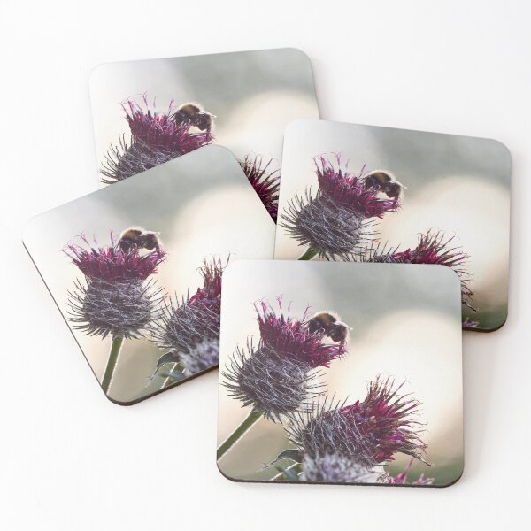 Item preview, Some buzz in backlight. Woolly burdock 3 designed and sold by Jouko Lehto Photography.