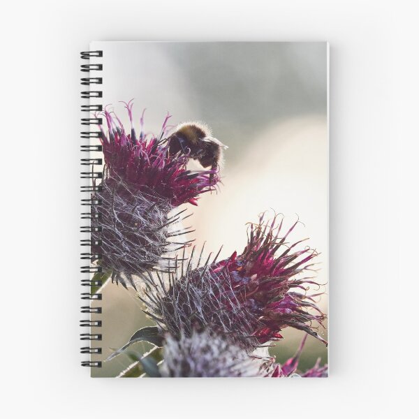 Item preview, Some buzz in backlight. Woolly burdock 3 designed and sold by Jouko Lehto Photography.