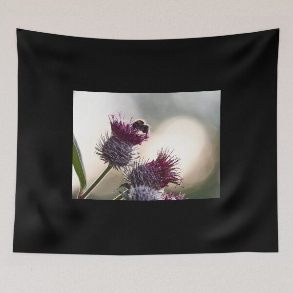 Item preview, Some buzz in backlight. Woolly burdock 3 designed and sold by Jouko Lehto Photography.
