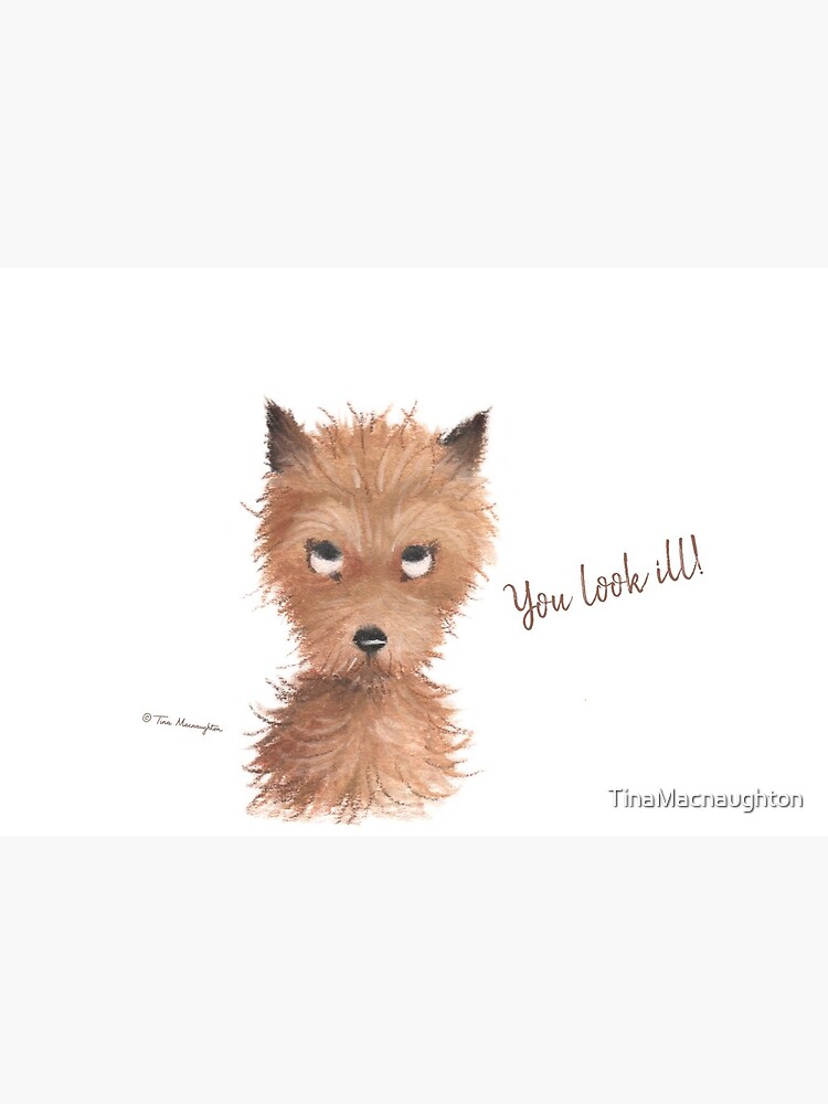 Cheeky Puppy Dog Eyes - "You look ill!" by TinaMacnaughton