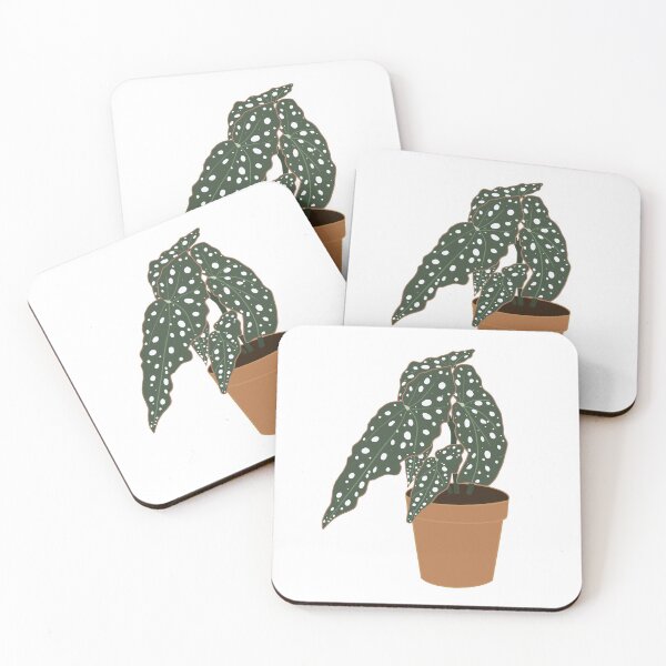 Item preview, Begonia Maculata Plant – Clay Pot designed and sold by RaquelsRoom.