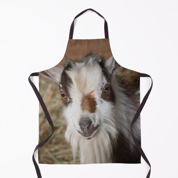 Item preview, Mr Chips designed and sold by KrisHundt.