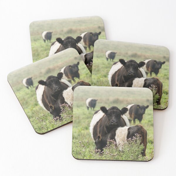 Item preview, Belted Galloway Cows designed and sold by Jane Stanley Photography.