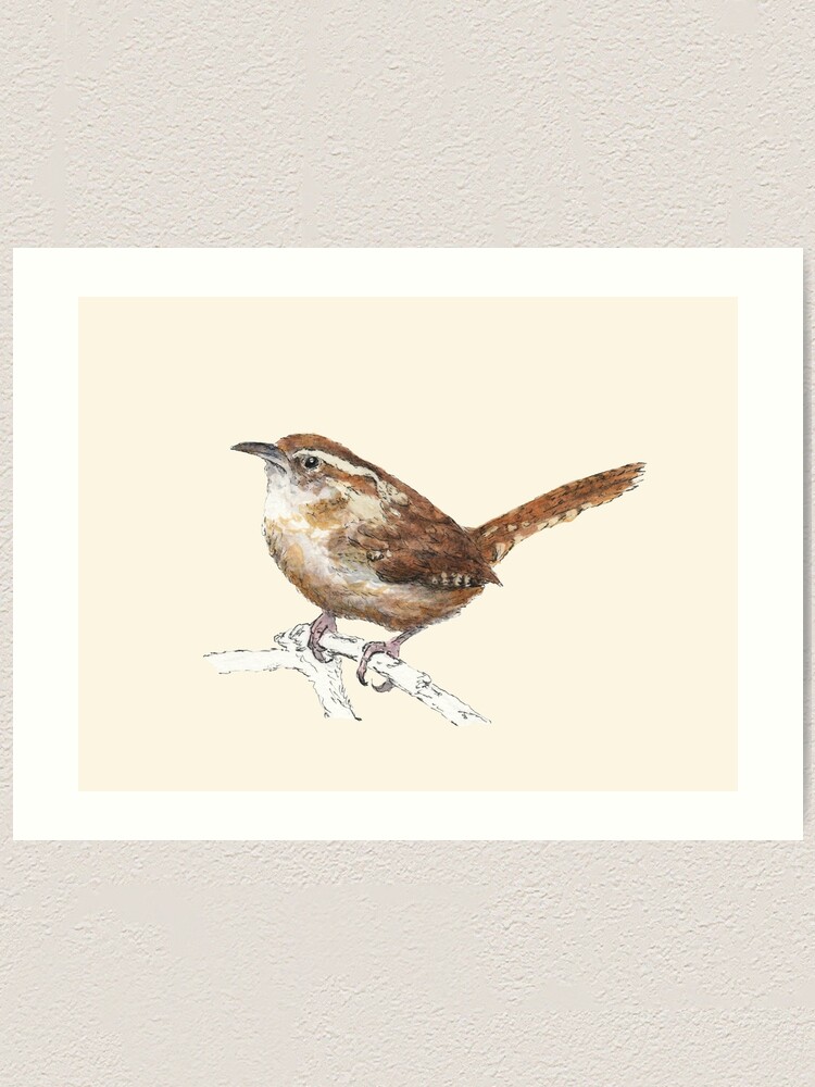 Alternate view of Carolina Wren Art Print