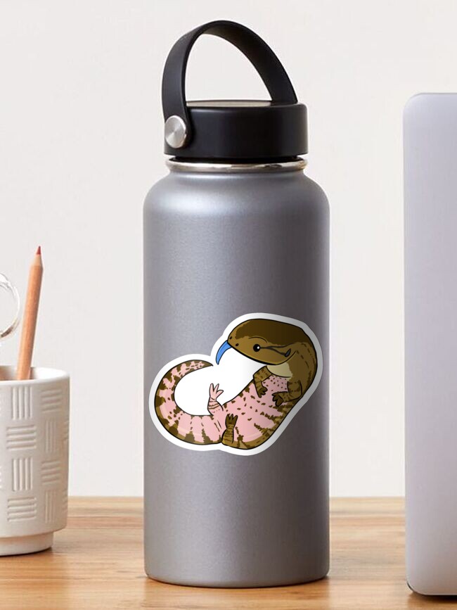 Thumbnail 1 of 3, Sticker, Pink belly blue tongue skink! designed and sold by Immadinoartist.