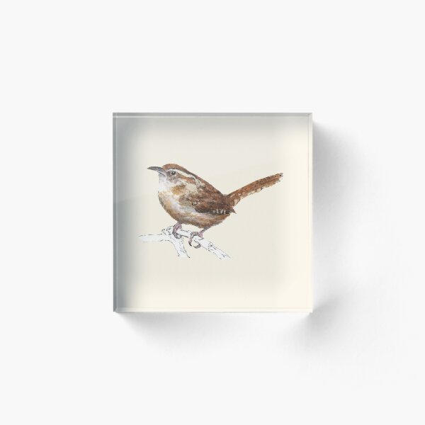 Carolina Wren Acrylic Block
