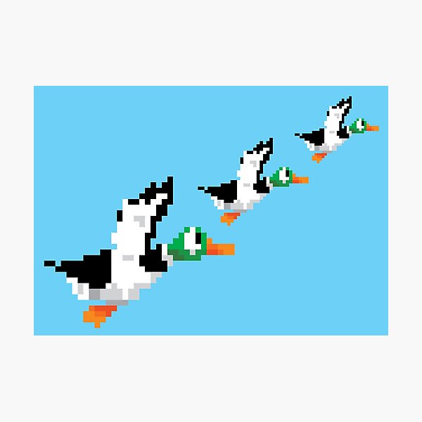 8-Bit Nintendo Duck Hunt 'Trio' Photographic Print
