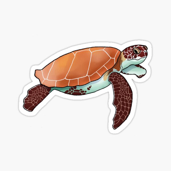 Sea Turtle Sticker By Clairesto Redbubble