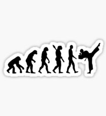 Evolution Karate kickboxing Sticker