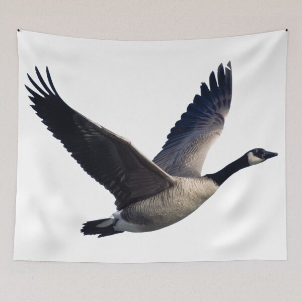 Item preview, Flying Canadian goose designed and sold by roterkoenig.