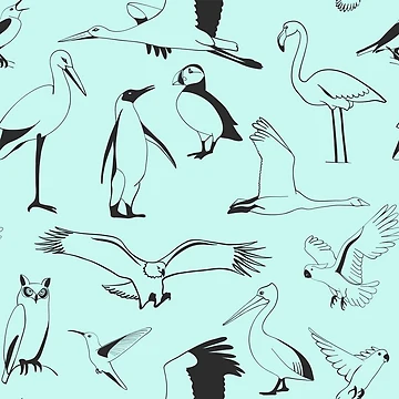 Artwork thumbnail, Birds hand drawn pattern by EngineerGoC