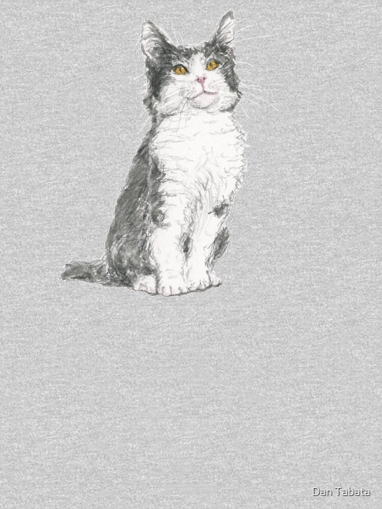 Kitty by dmtab