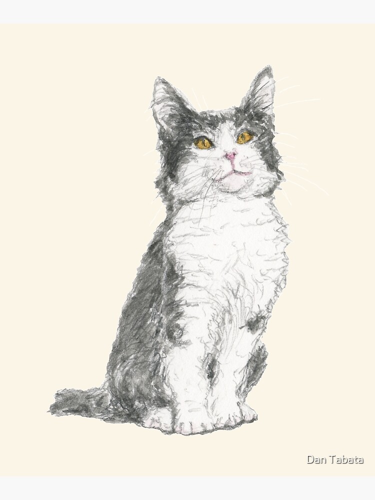 Kitty by dmtab