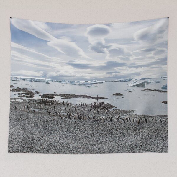 Item preview, Gentoo penguins at Brown Bluff designed and sold by HazelWright.