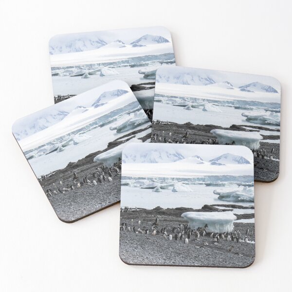 Item preview, Gentoo penguins at Brown Bluff designed and sold by HazelWright.