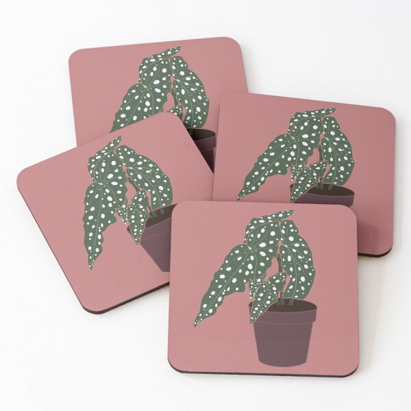 Item preview, Begonia Maculata Plant – Purple Pot designed and sold by RaquelsRoom.