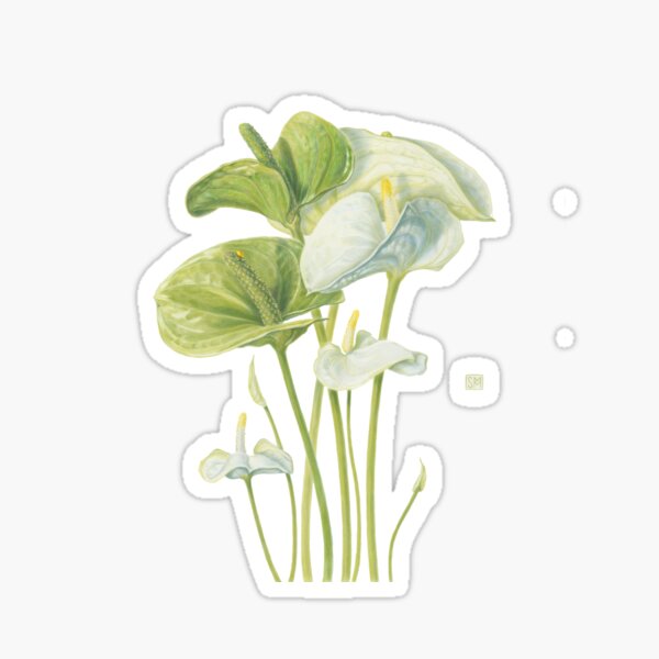 Anthurium Sticker