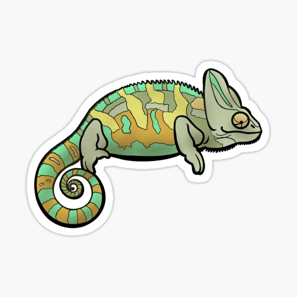 Veiled Chameleon, a Beautiful Lizard Sticker