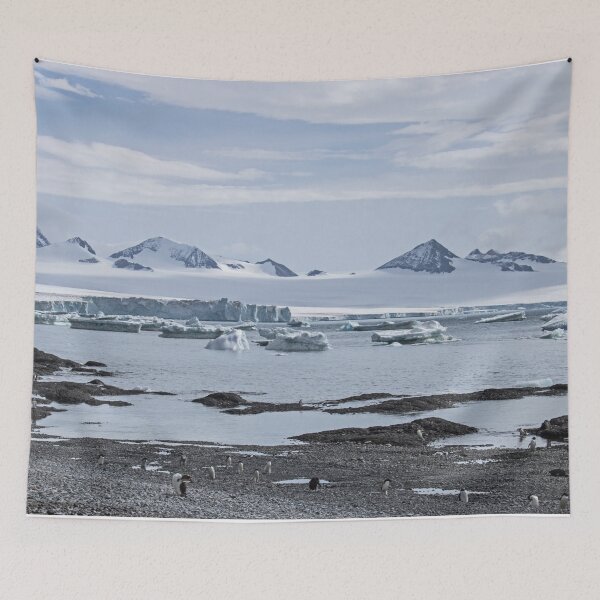 Item preview, Gentoo penguins on the beach at Brown Bluff designed and sold by HazelWright.