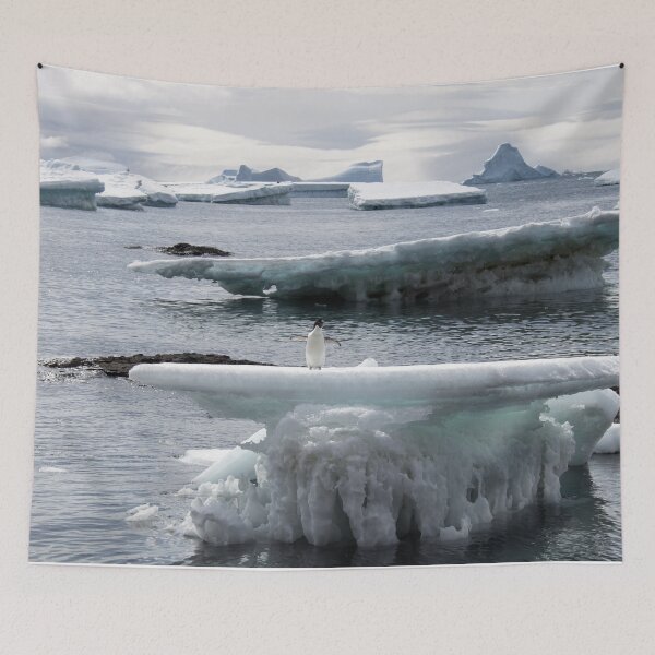 Item preview, Adelie penguin at Brown Bluff designed and sold by HazelWright.
