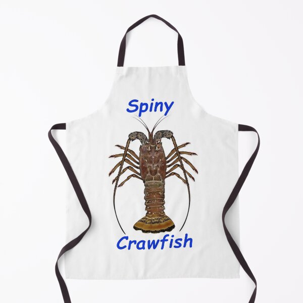Item preview, Spiny Crawfish Lobster Florida Keys Treasures designed and sold by KeysTreasures.