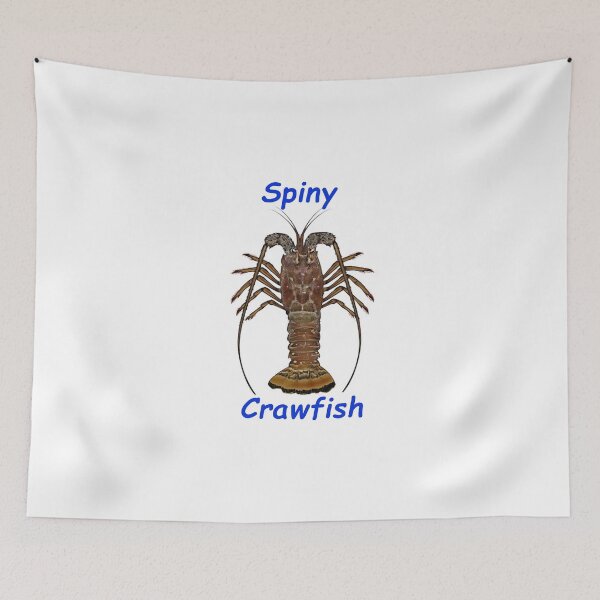Item preview, Spiny Crawfish Lobster Florida Keys Treasures designed and sold by KeysTreasures.
