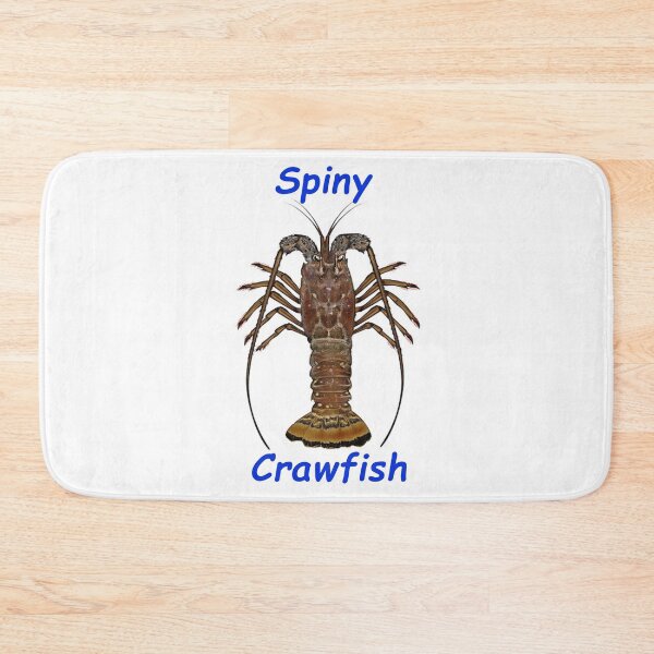 Item preview, Spiny Crawfish Lobster Florida Keys Treasures designed and sold by KeysTreasures.
