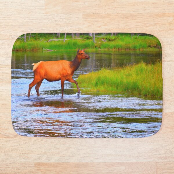 Item preview, Forest Animals in Nature designed and sold by Tiny-Whispers.