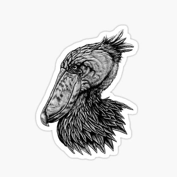 Shoebill Stork Bird Ink Drawing Sticker