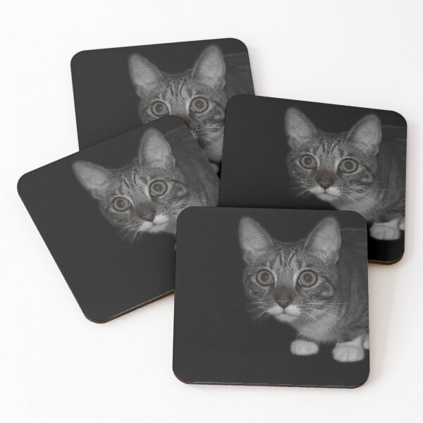 Item preview, Creeping Cat designed and sold by IpsilonPhoto.