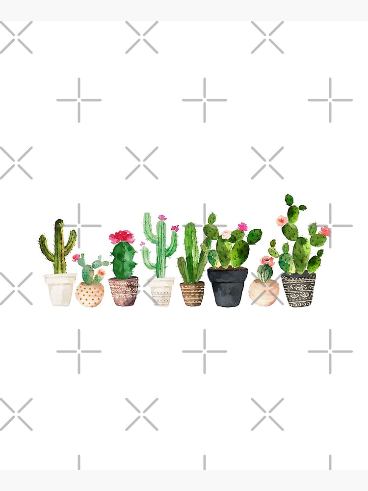 Cactus by BekkaCampbell