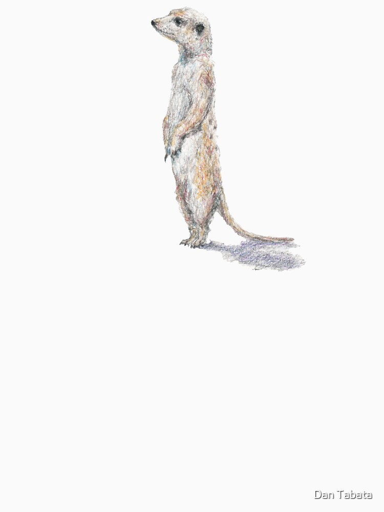 Meerkat by dmtab