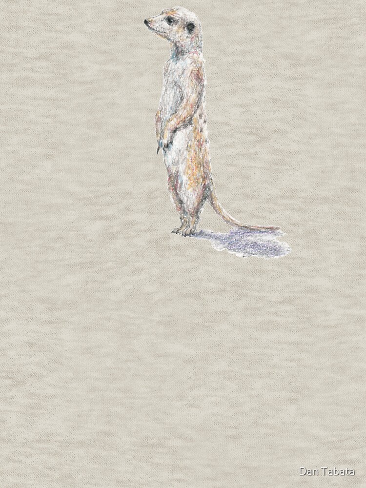 Meerkat by dmtab