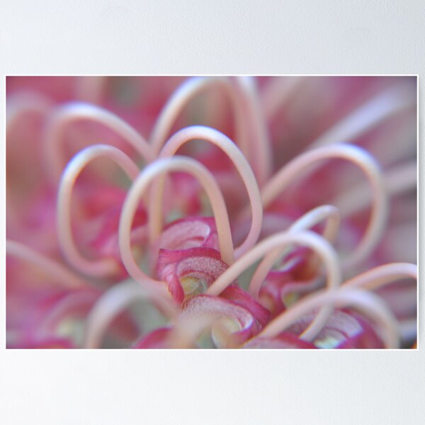 Item preview, Grevillea Patterns designed and sold by mappy1.
